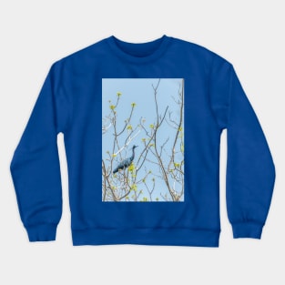 Little Blue Heron in the Treetop Crewneck Sweatshirt